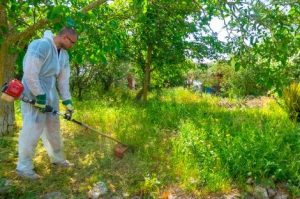 Un homme en tenue blanche débroussaille son jardin qui comprend des herbes hautes et des arbres au loin.