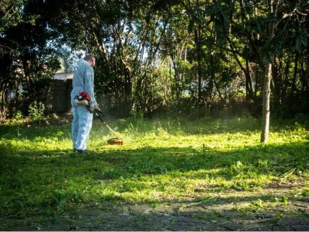Dans un sous-bois se trouve un homme en tenue de protection et qui débroussaille le terrain. avec un modèle thermique.