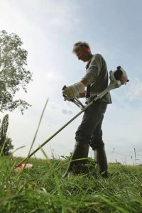 Un homme vu en contreplongée débroussaille dans un espace vert avec la Stihl FS 55.