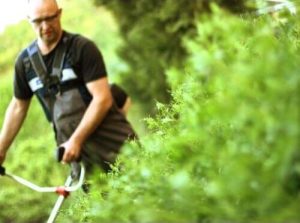 Un homme vu de face utilise une débroussailleuse. En premier plan, sur la droite, on voit de l'herbe haute.